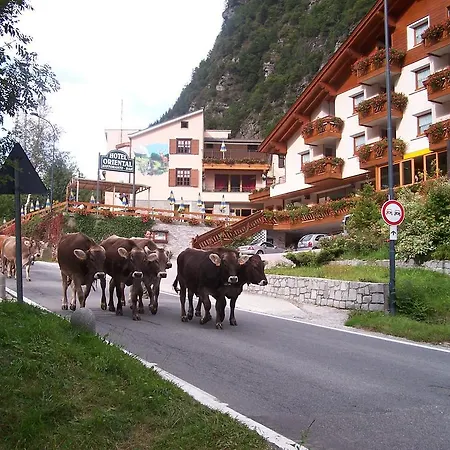 Oriental 3*