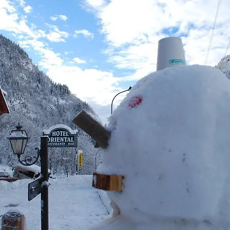 Alps Oriental Wellness Hotel 3*