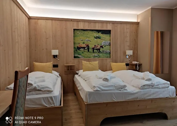 Alps Oriental Wellness 캄포돌치노