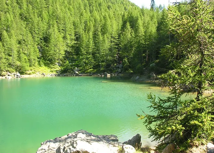 Alps Oriental Wellness 호텔 3*