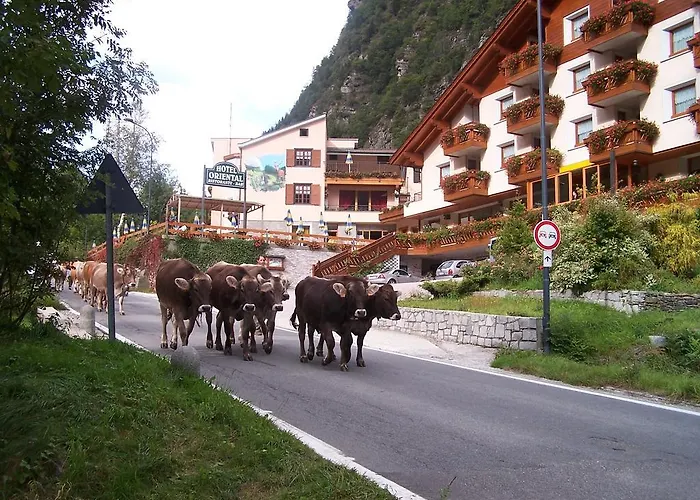 Alps Oriental Wellness 3*