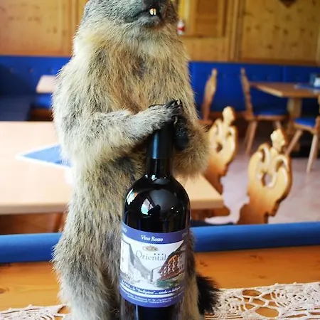 Alps Oriental Wellness